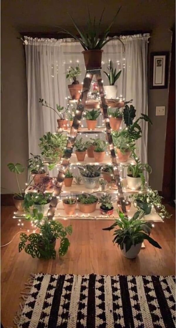 Plant Ladder Christmas Tree