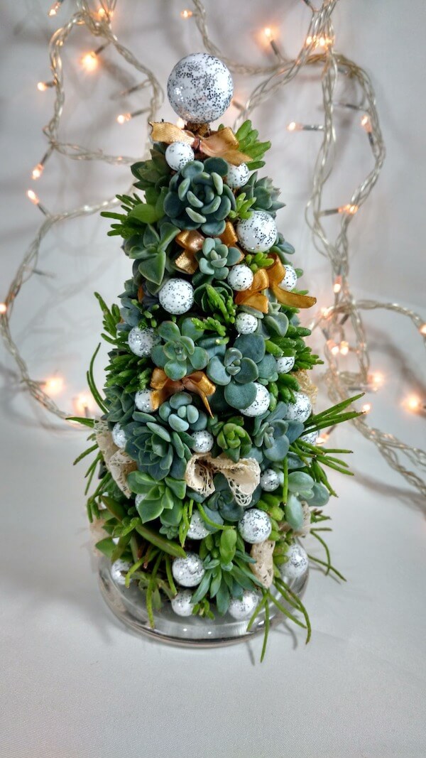 Succulent Christmas Tree