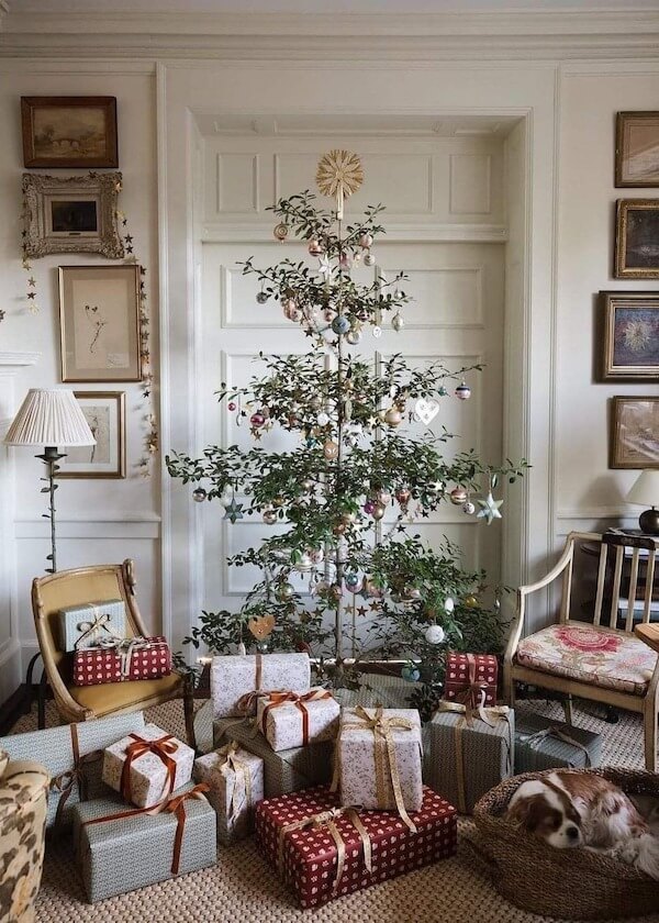 Living Potted Plant Tree
