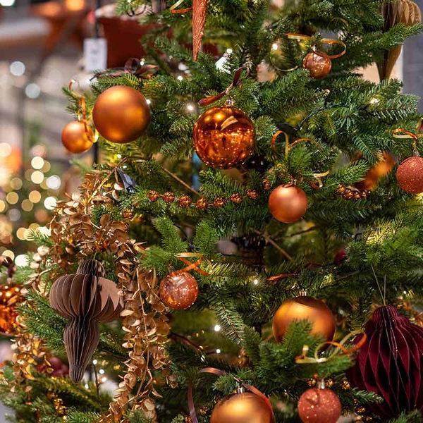 Christmas tree trends