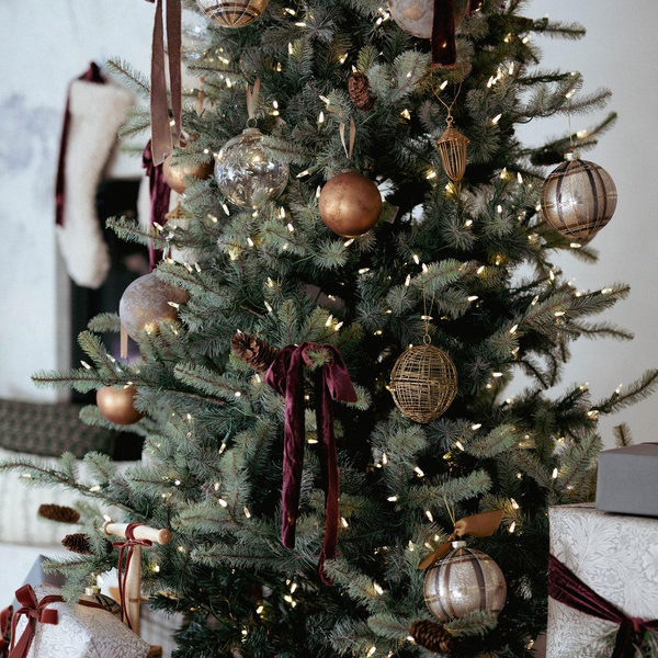 Christmas tree trends