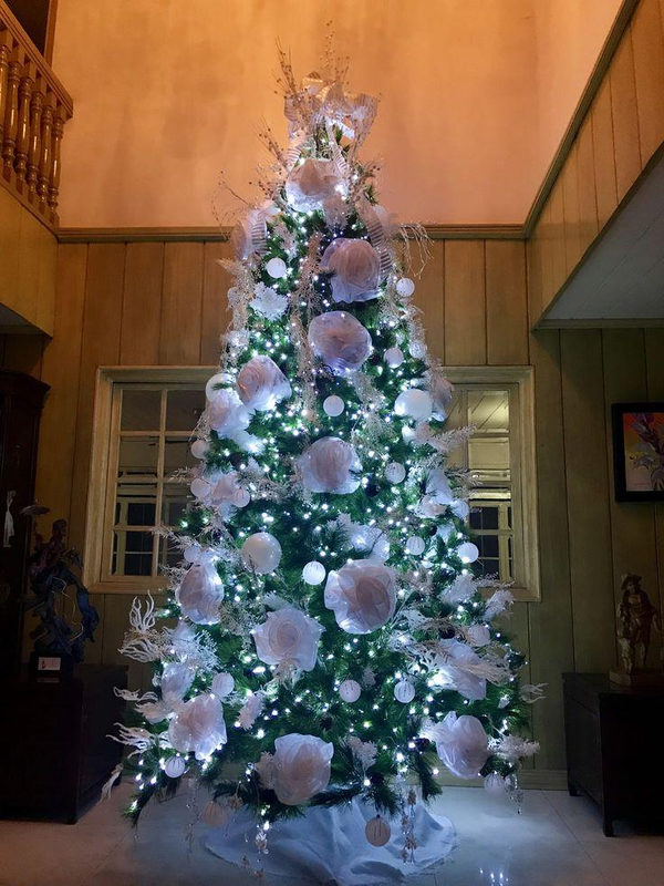 Christmas tree trends