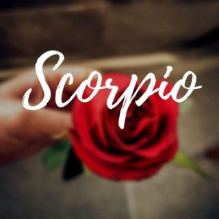 Virgo Woman Best Matches: Love Compatibility With Each Zodiac Signs