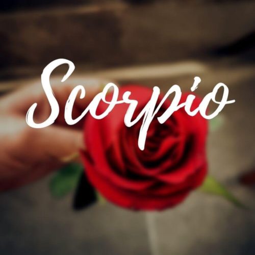 Scorpio Best Love Matches: Love Compatibility With Each Zodiac Signs