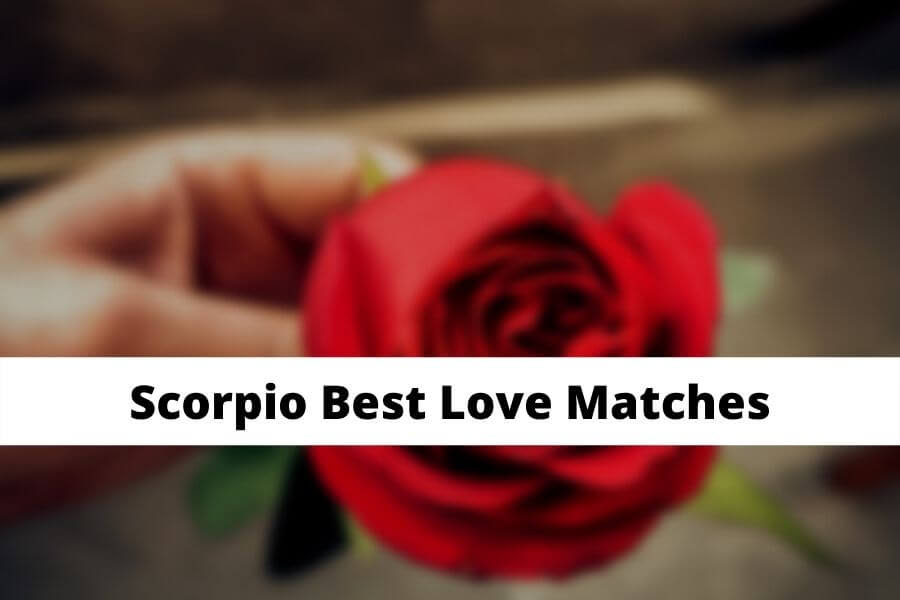 Scorpio Best Love Matches Zodiac Signs