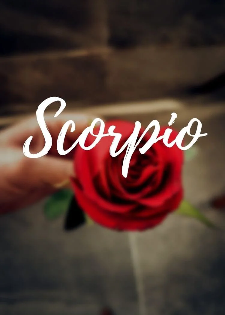 Scorpio Best Love Matches