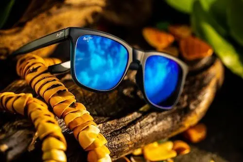 USA sunglasses brands