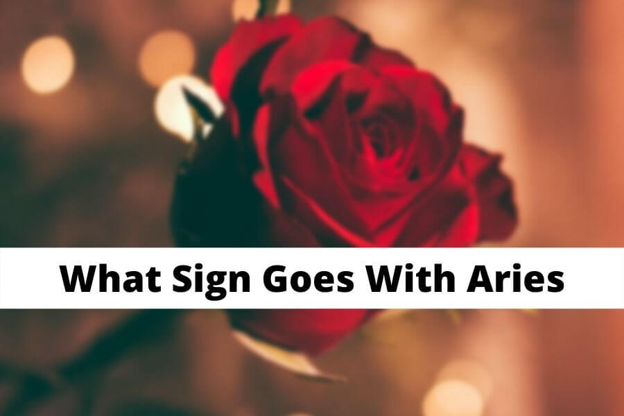 What Sign Goes With Aries love