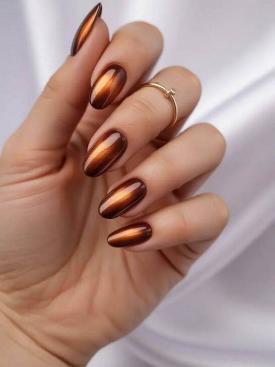 21 Gorgeous Brown Cat Eye Nails Designs You Have to Try