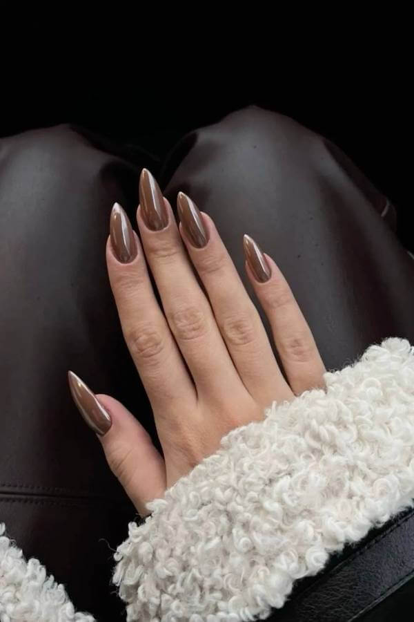 Classic Glossy Brown Chrome Nails