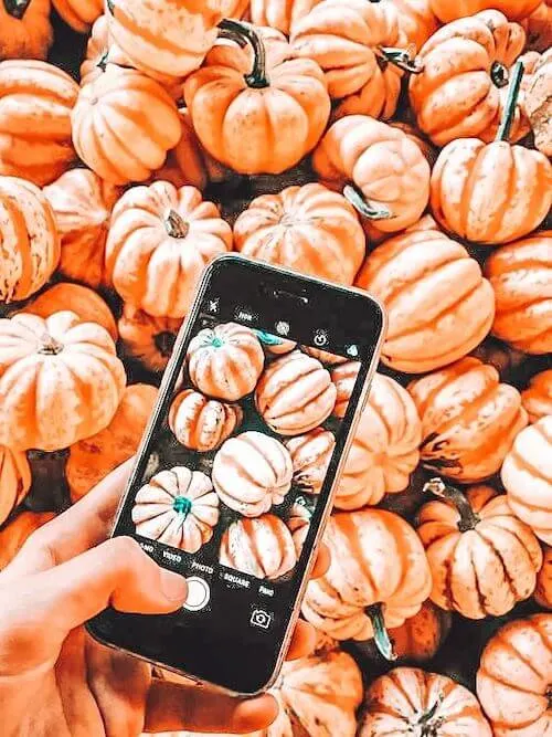 creative fall photography ideas