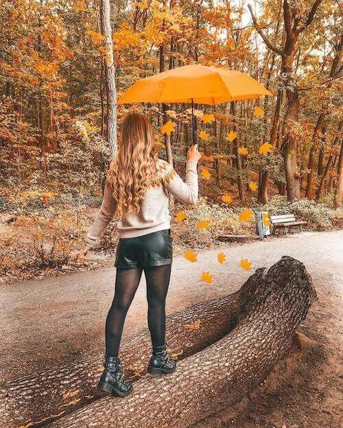 creative fall photography ideas