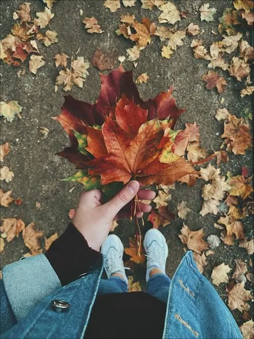 creative fall photography ideas