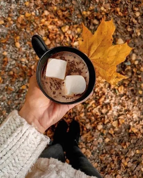 creative fall photography ideas