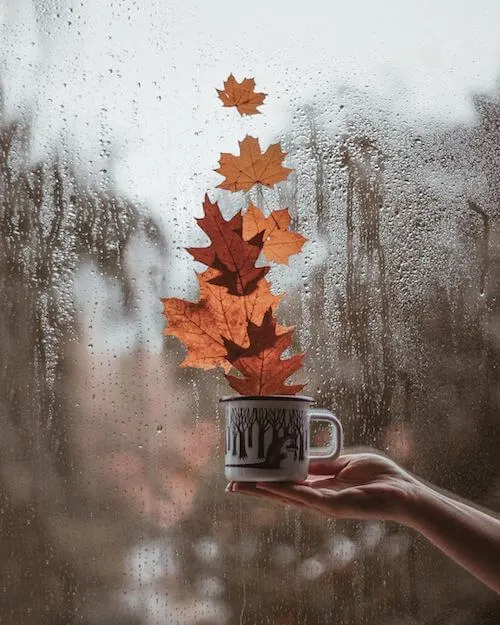 creative fall photography ideas