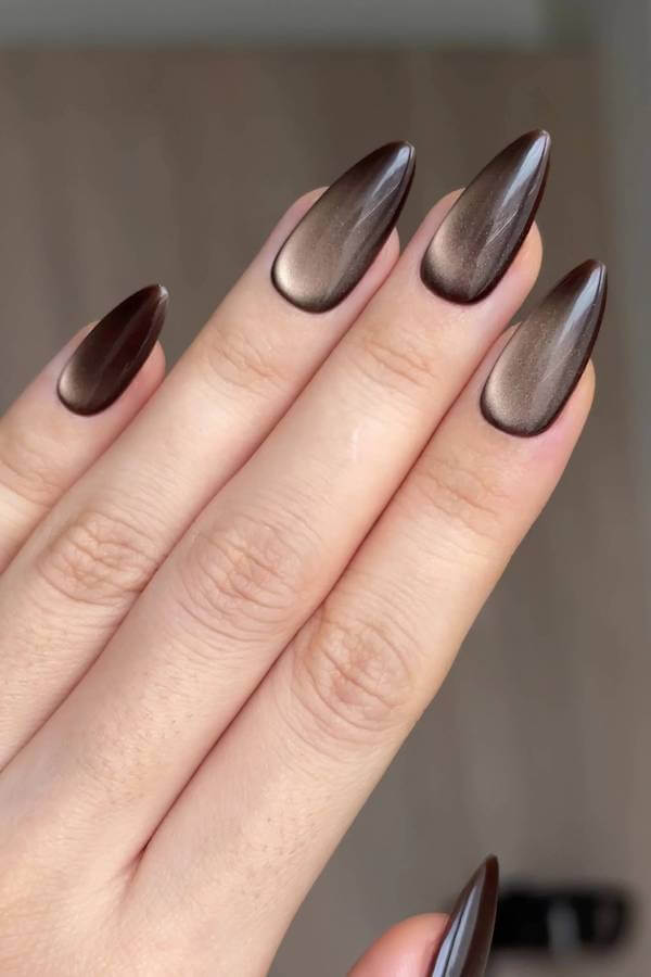 Espresso Brown Cat Eye Nails
