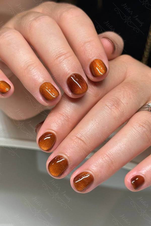 Burnt Orange Short Cat Eye Nails