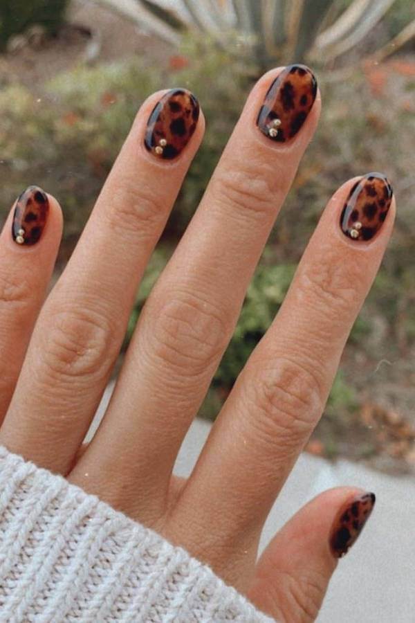 Tortoise Shell Nails with Gold Studs