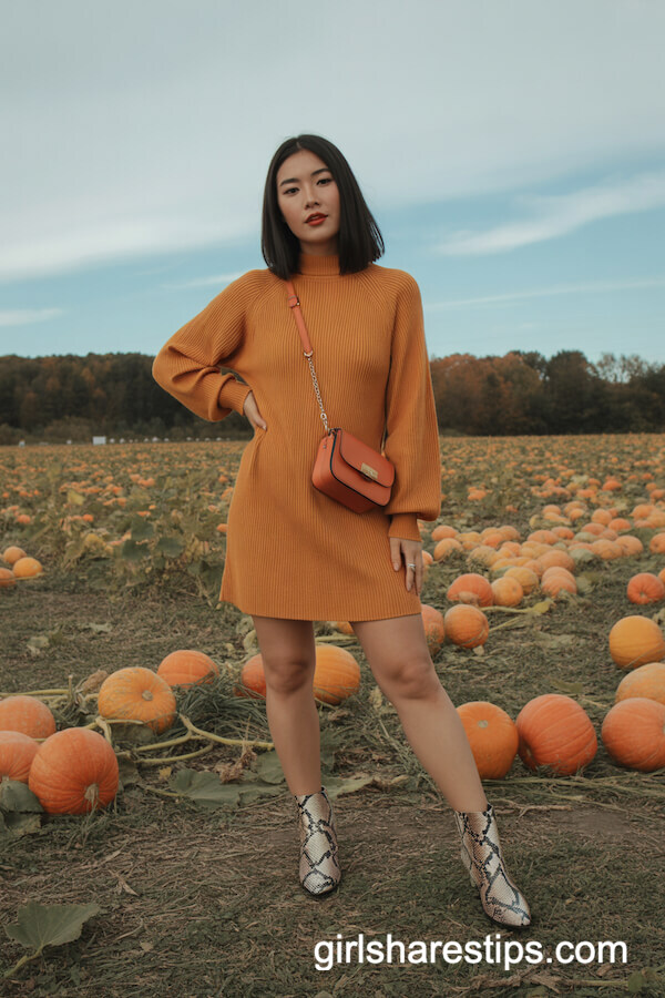 Bold Sweater Dress & Snake Print Booties