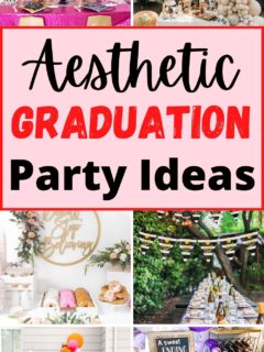 cute aesthetic graduation party ideas collage