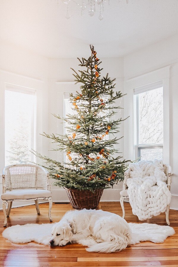 Dried Orange Slice Christmas Tree