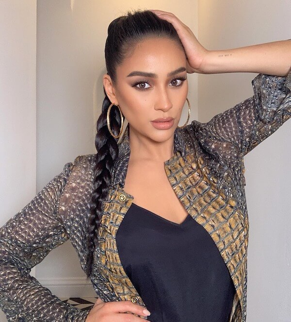 Sleek Braided Ponytail