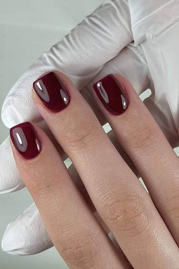 Deep Wine Short Winter Nails