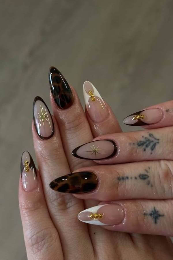 Elegant Tortoise Shell with Gold Accents