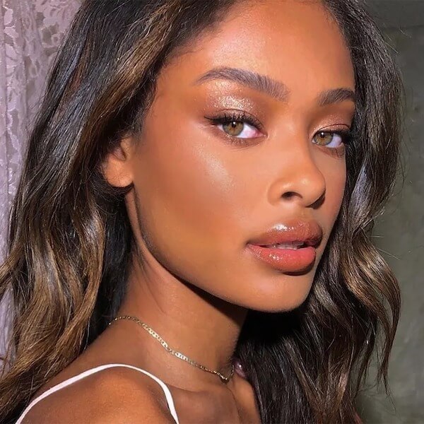 Soft Bronze Shimmer Makeup