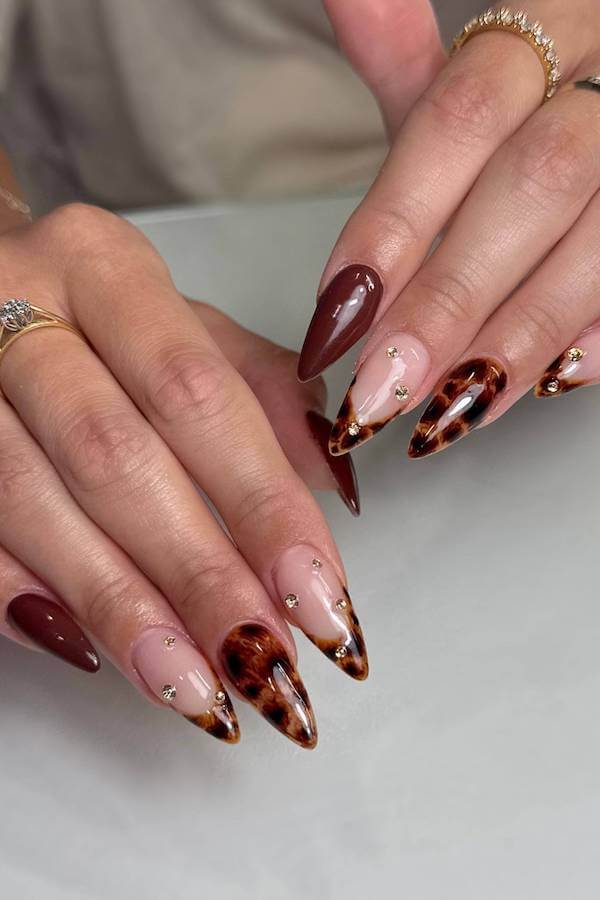 Stiletto Tortoise Shell Tips with Gold Studs and Brown Accent