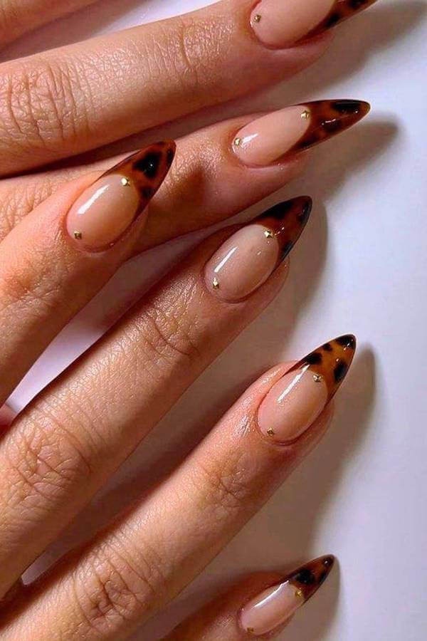 Minimalist Tortoise Shell French Tips with Gold Studs